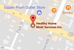 Healthy Home Mold Services Inc. on Google Maps