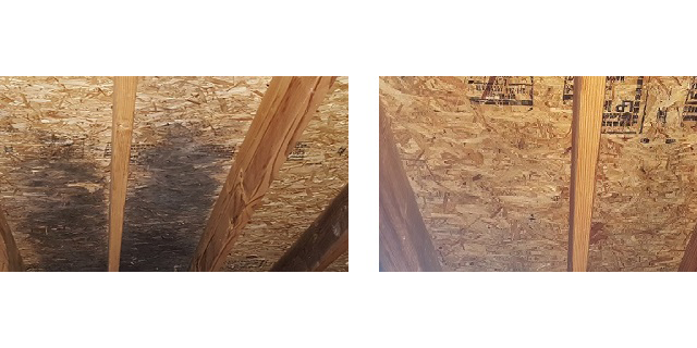 Attic image for Healthy Home Mold Services