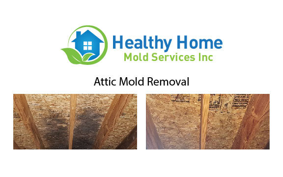 Attic Mold Remediation Mchenry IL