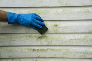 Mold Remediation Lake in the Hills IL